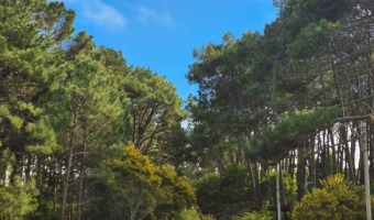 MAR DE LAS PAMPAS AVANZA EN SU POSTULACI�N AL PROGRAMA BEST TOURISM VILLAGES